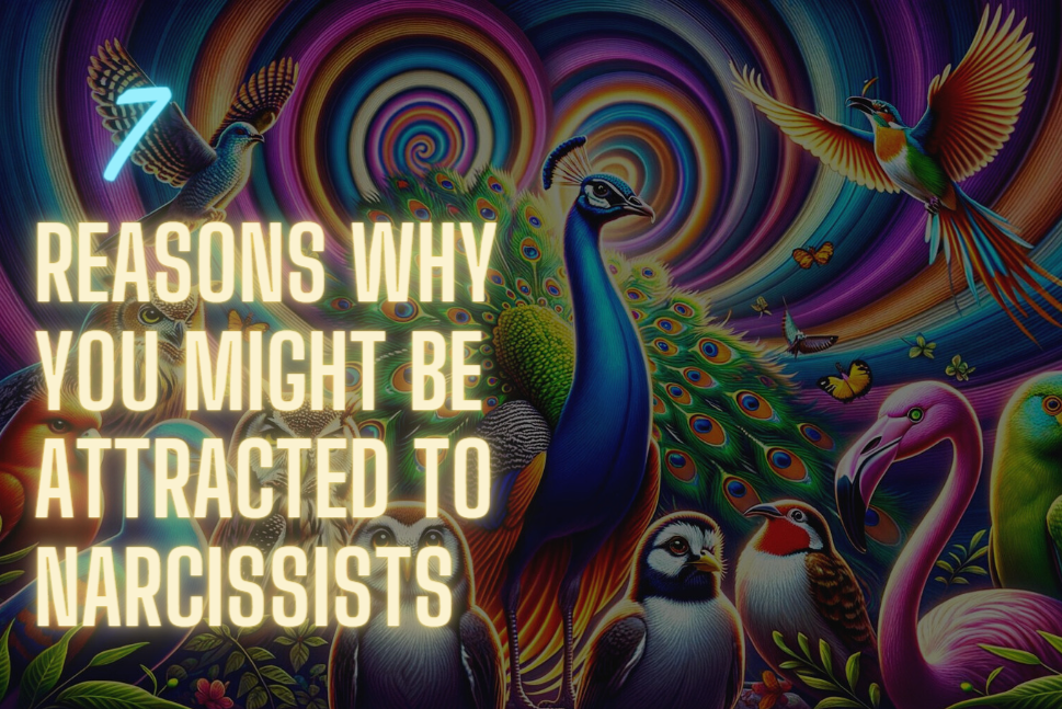 why attracted to narcissists