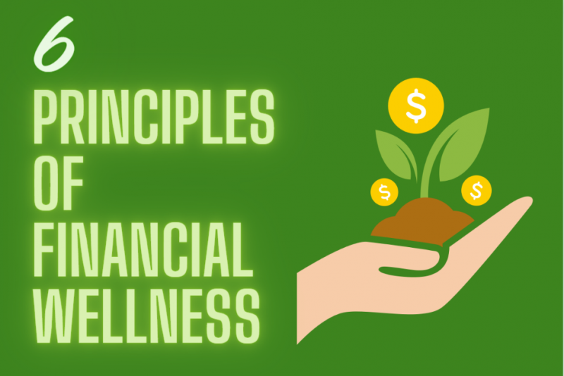 6 principles of financial wellness for mental wellbeing